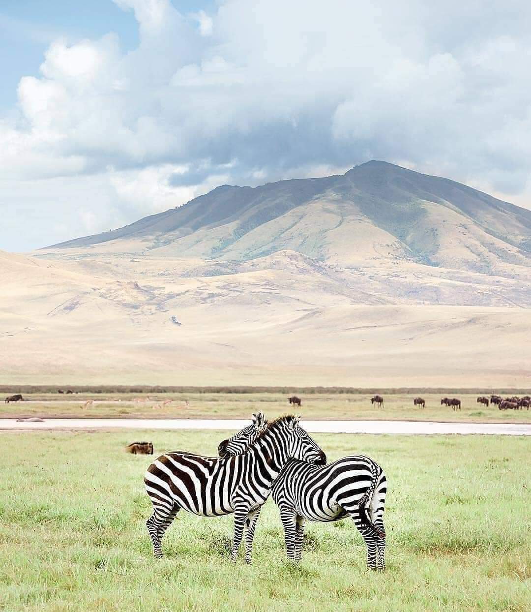 Holiday Expedition & Safari gallery