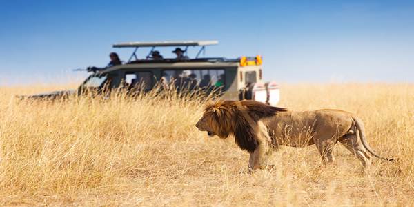 Foot Slopes Tours and Safaris Ltd  gallery