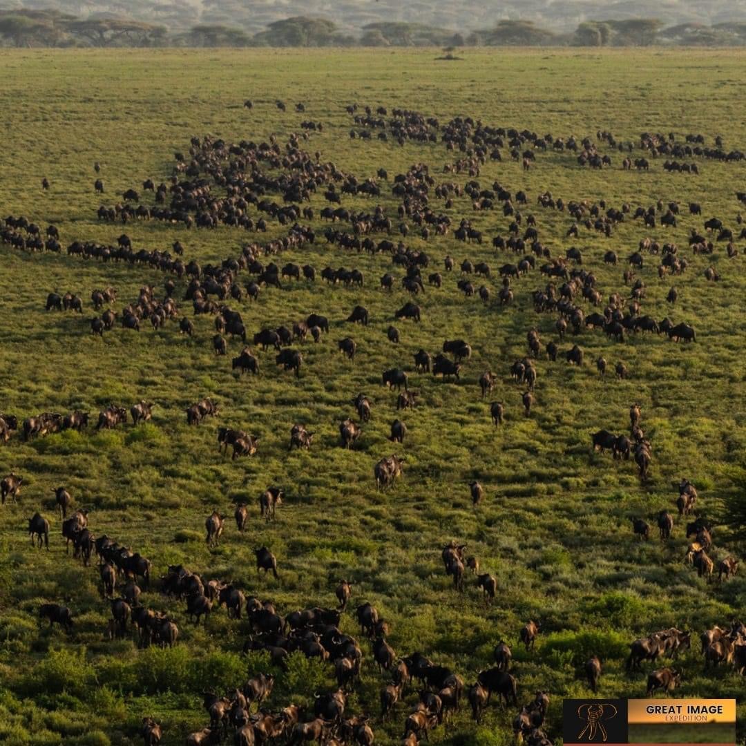 G-family adventures safaris gallery