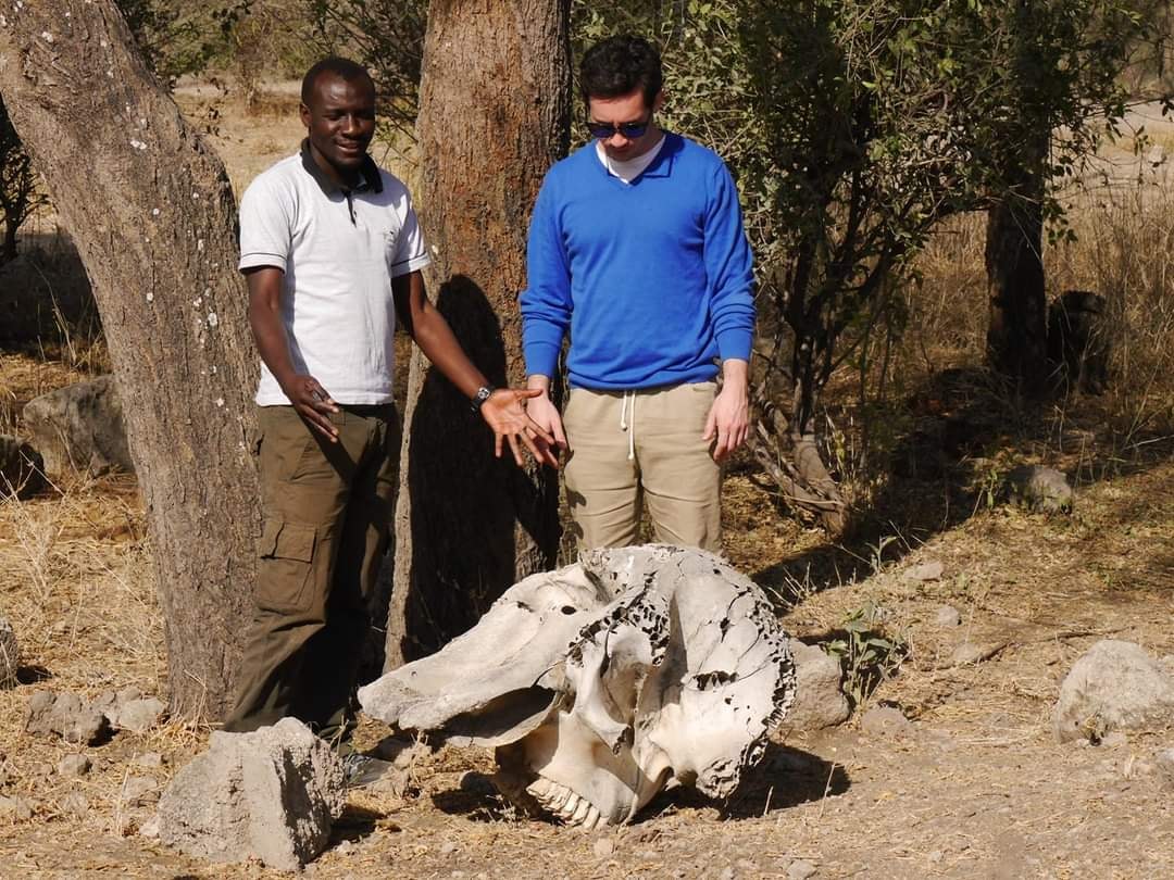 Gideon Tanzania safaris gallery