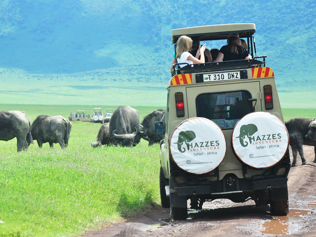 Hazzes Adventure Ltd gallery