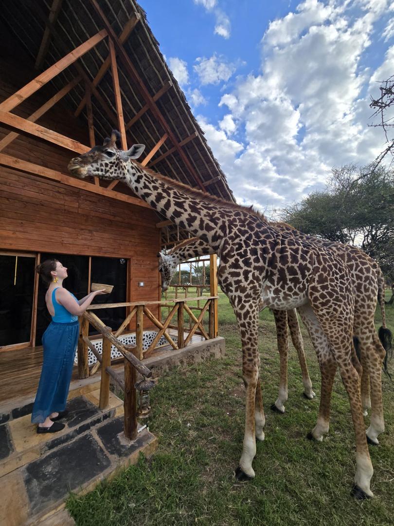 Hilltop Travel Company gallery