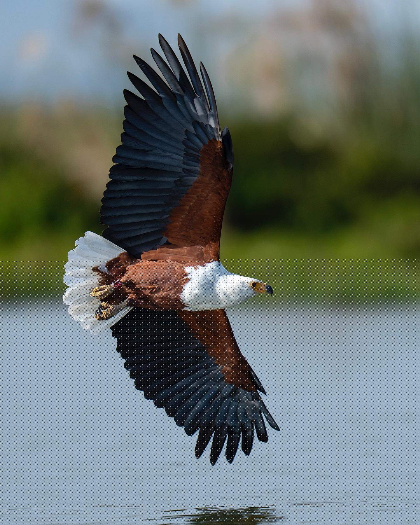 KILIMANJARO AND SAFARIS ADVENTURE gallery
