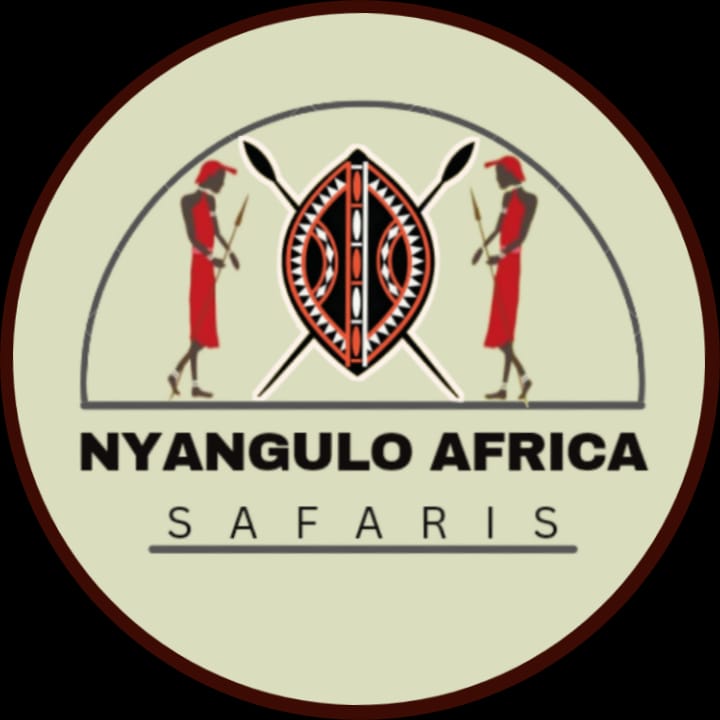 Nyangulo Africa Safaris gallery