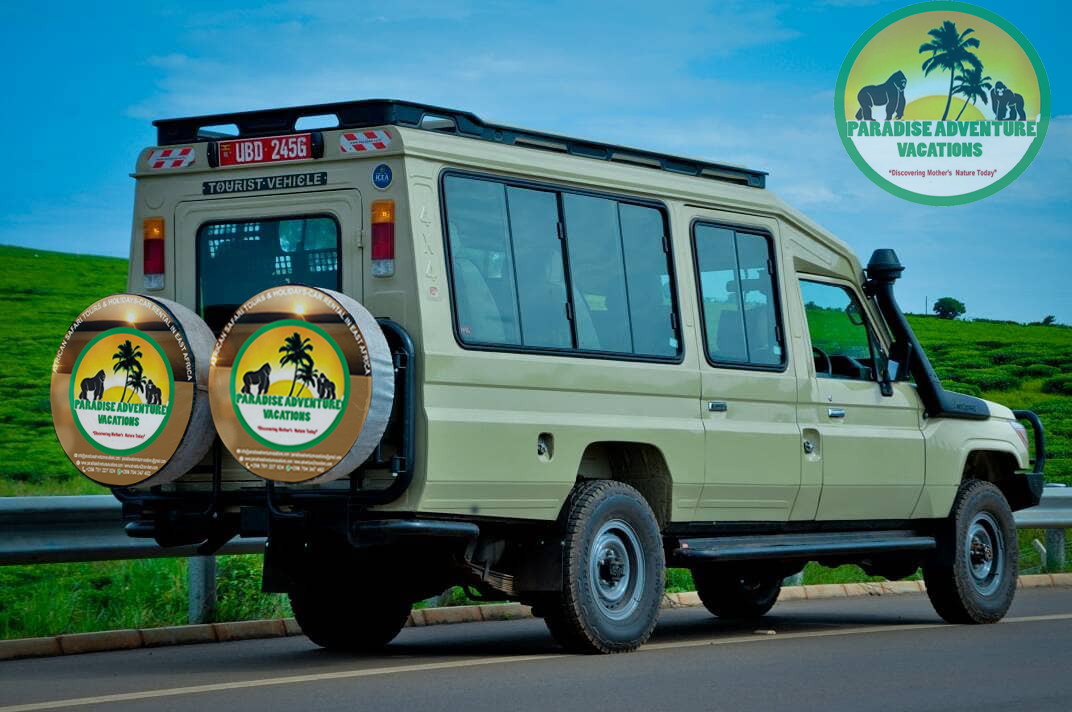 Paradise Adventure Vacations gallery