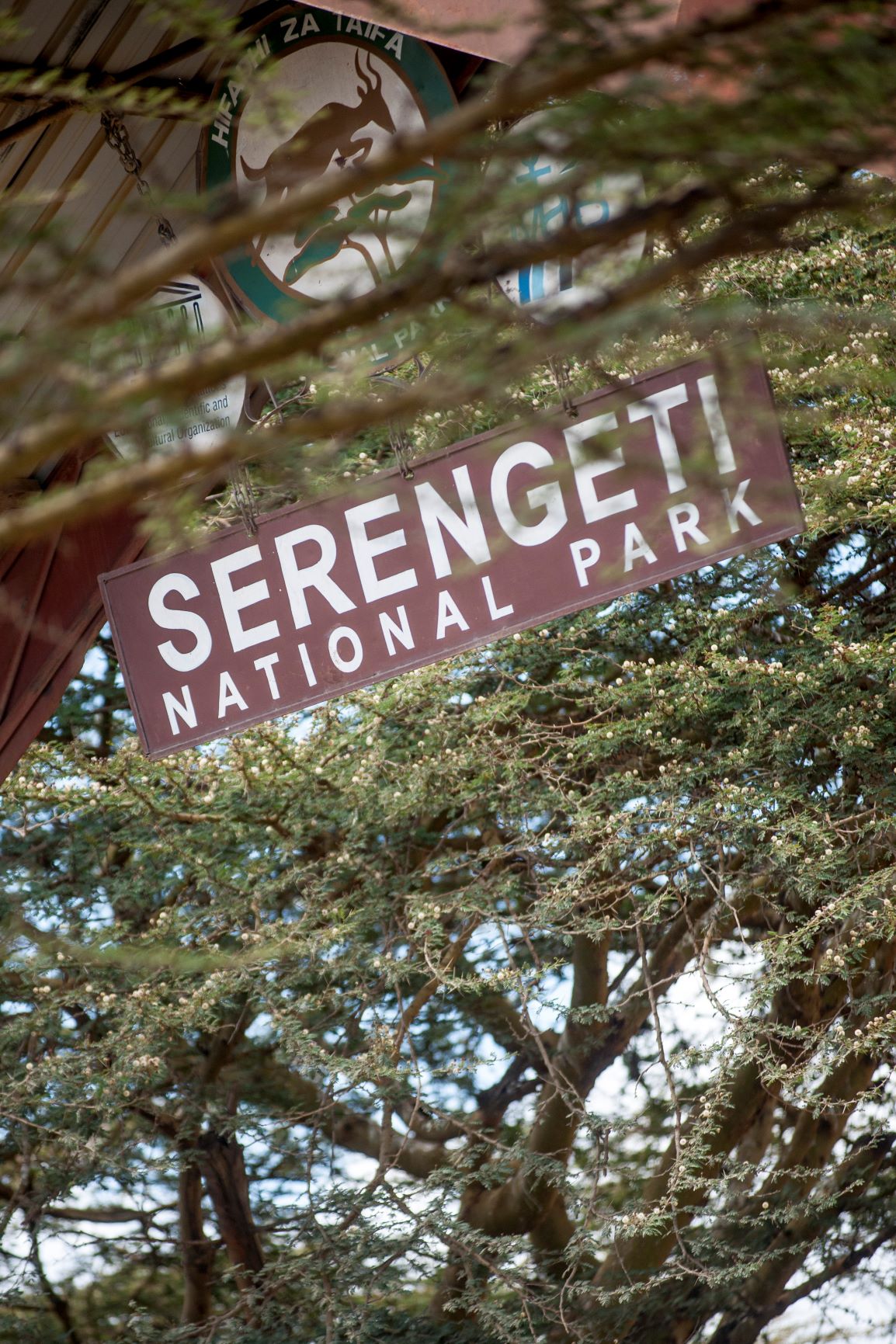 Platinum Siringeti Safaris Co (T) gallery