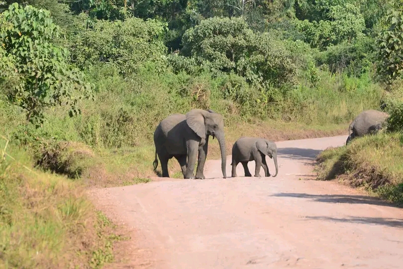 SERE ADVENTURE SAFARI gallery