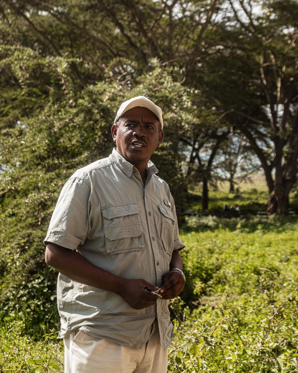 Serengeti Wander Tours gallery