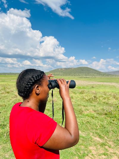 Song&Stark Tours gallery