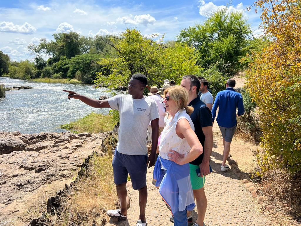 Southern Dynasty Safaris gallery