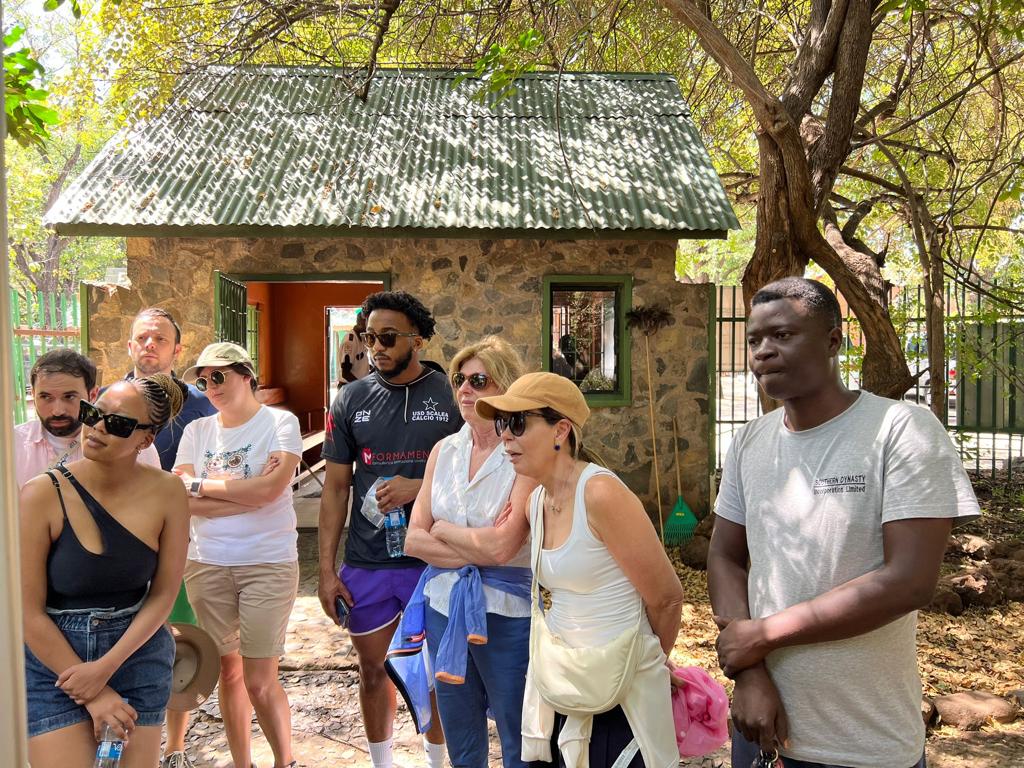 Southern Dynasty Safaris gallery