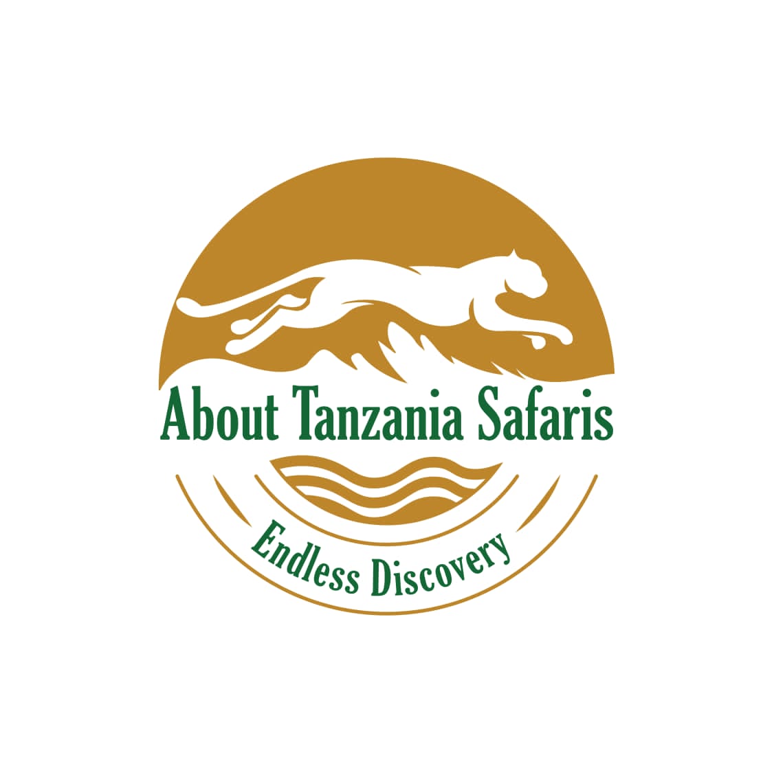 About Tanzania Safaris 