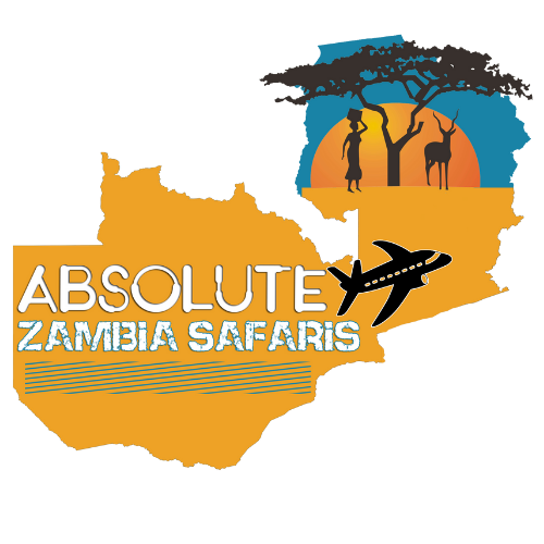 Absolute Zambia Safaris