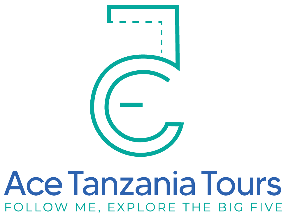 Ace Tanzania Tours