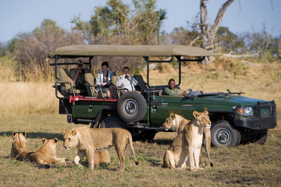 Africa Beast Safaris