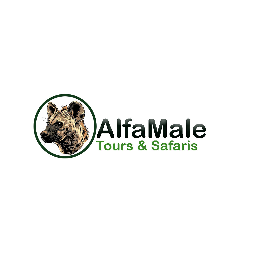 Alfamale tours & safaris