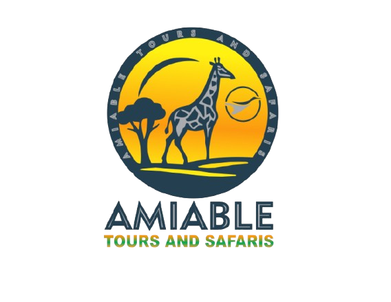 Amiable Tours and Safaris