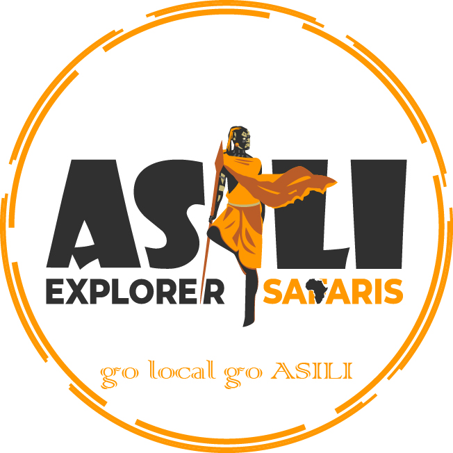 Asili Explorer Safaris logo