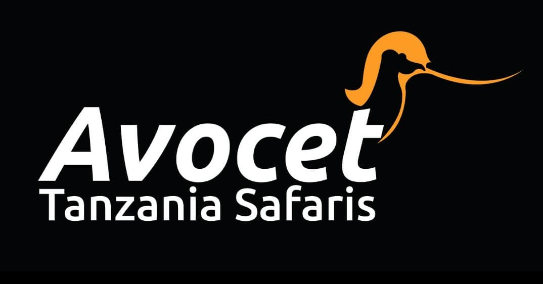 Avocet Tanzania Luxury Safaris