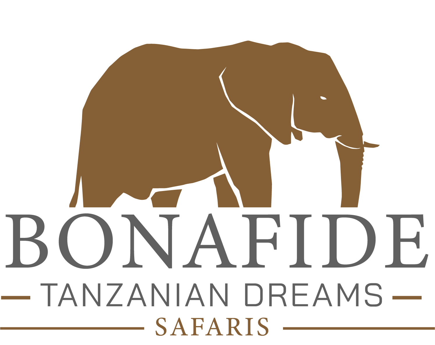 BONA FIDE TANZANIAN DREAMS 