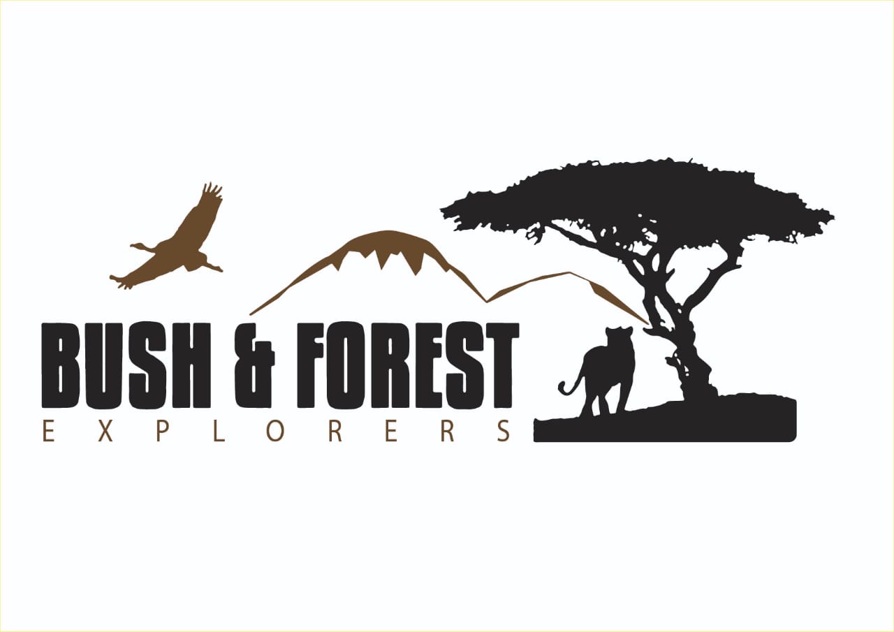 Bush and Forest Explorers