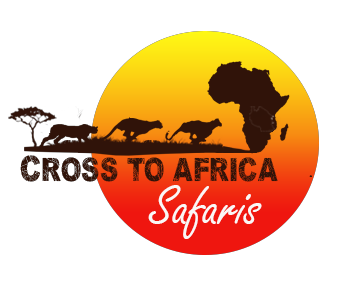 Cross to Africa Safaris Ltd 