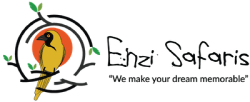 Enzi Safaris Ltd