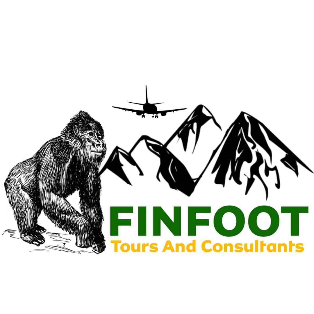 FINFOOT TOURS AND CONSULTANTS LTD
