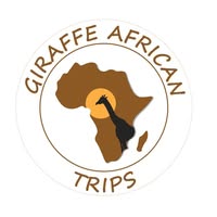 Giraffe African Trips