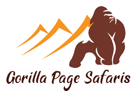Gorilla Page Safaris