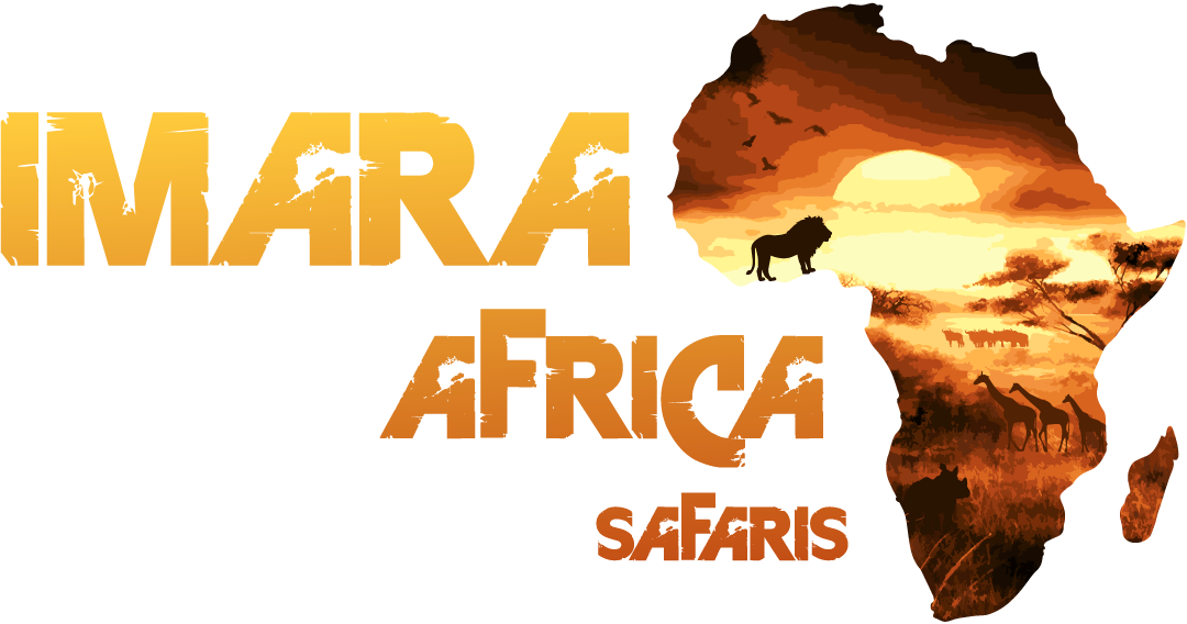 Imara Africa Safaris Limited
