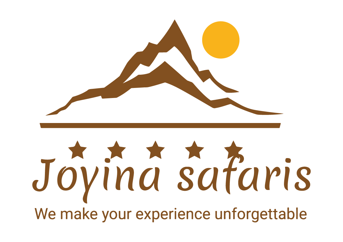 JOYINA SAFARIS AFRICA