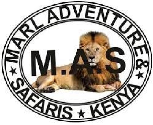 Kenia Reisen Safaris