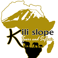 KILI SLOPE TOURS AND SAFARIS LTD