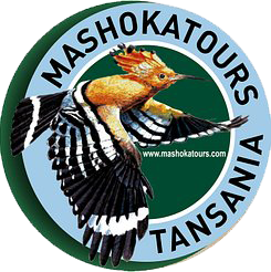 https://www.mashokatours.com. 