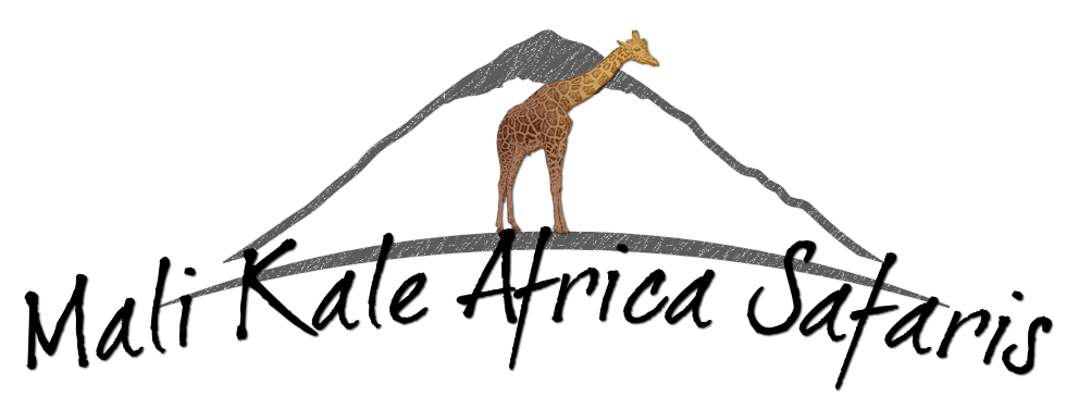 Mali Kale Africa Safaris Limited