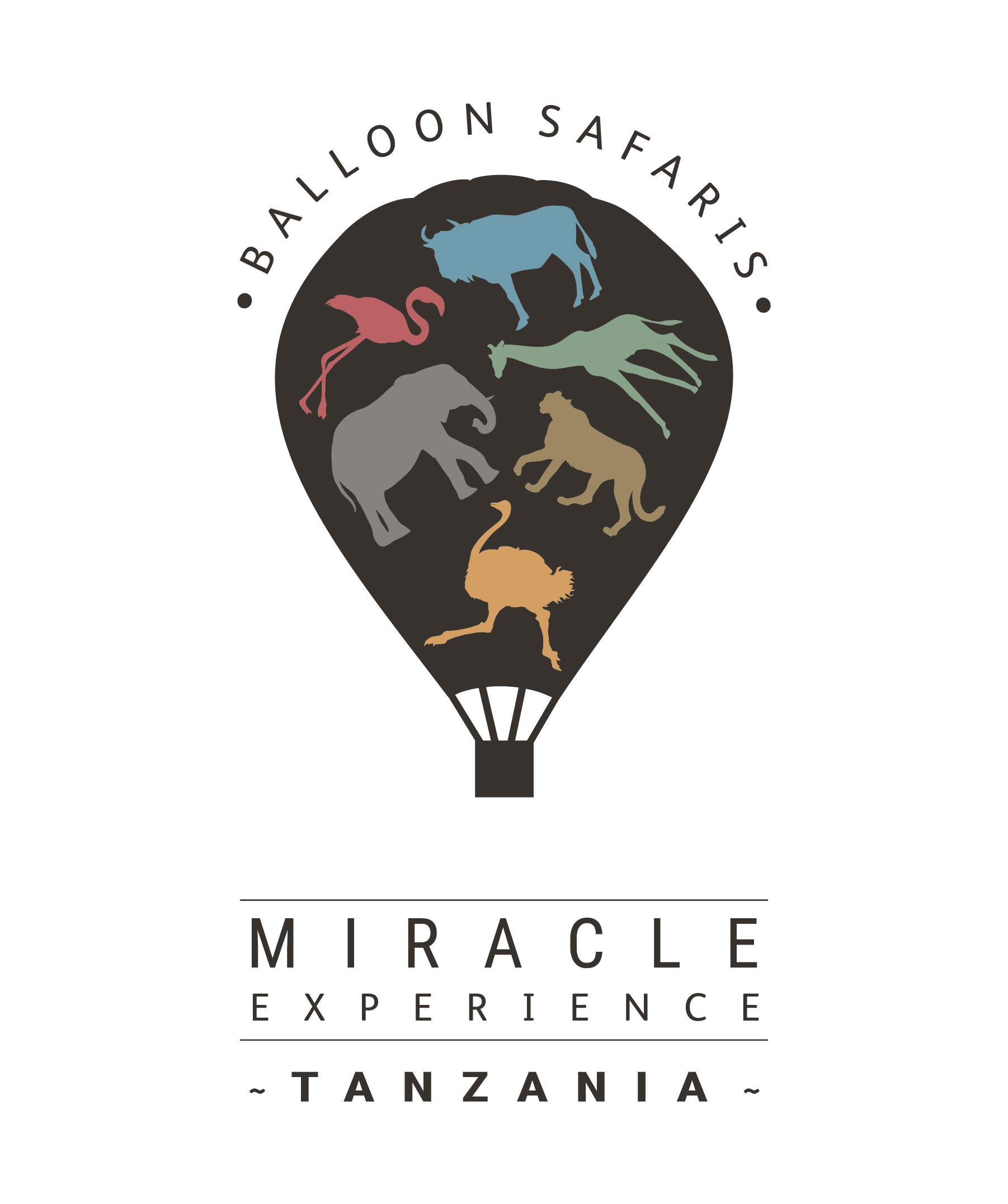 Miracle Experience Balloon Safaris