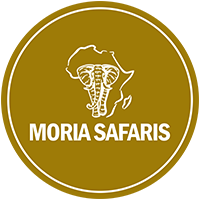 Moria Safaris
