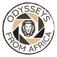 Odysseys from Africa