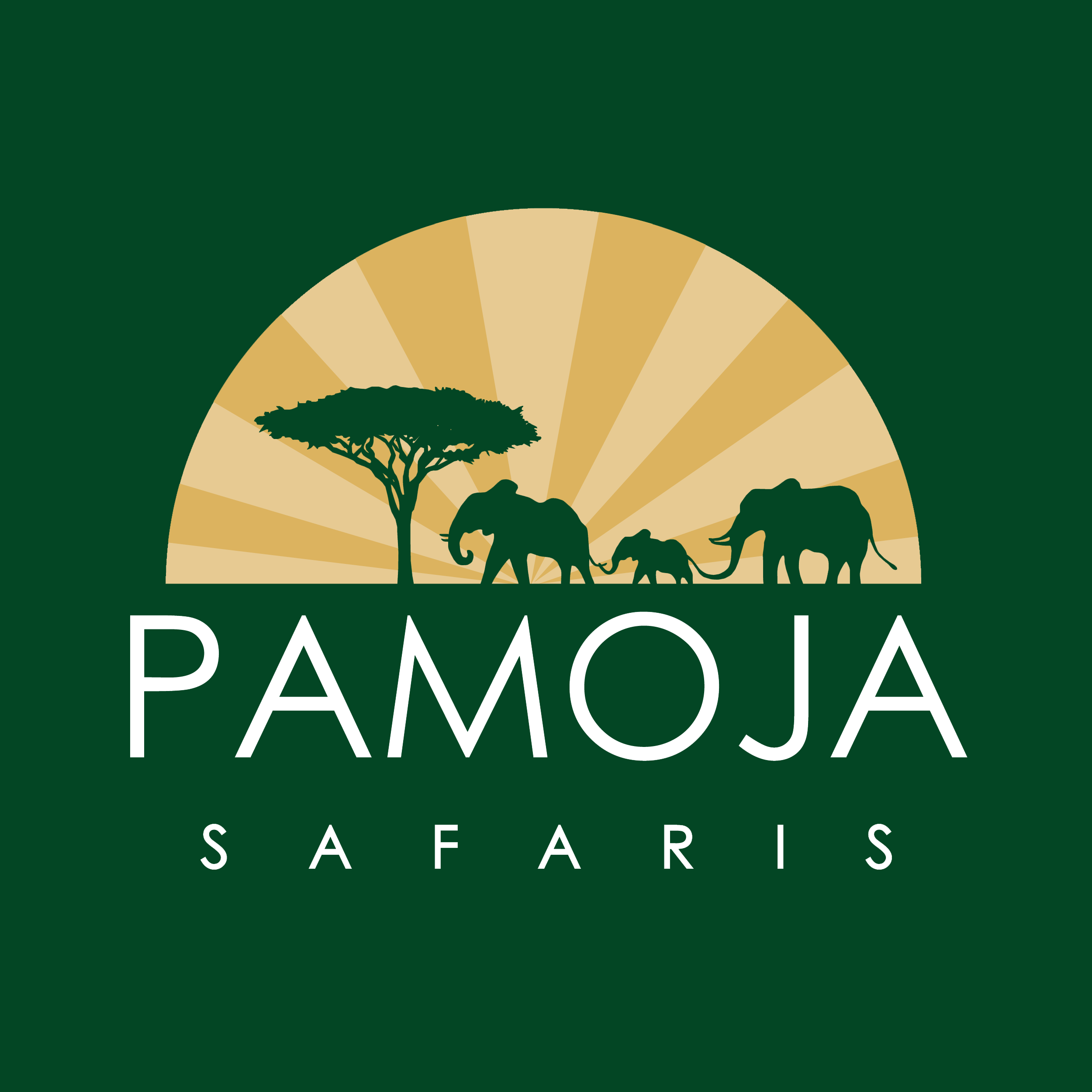 Pamoja Safaris
