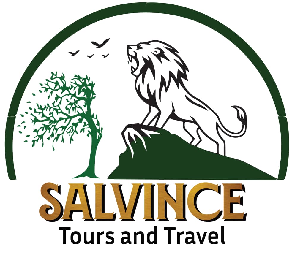 Salvince Tours and Travel 