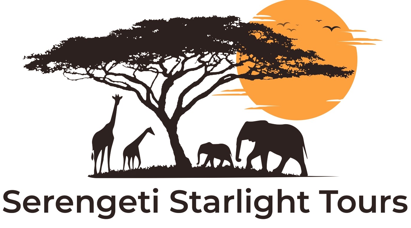 Serengeti Starlight Tours