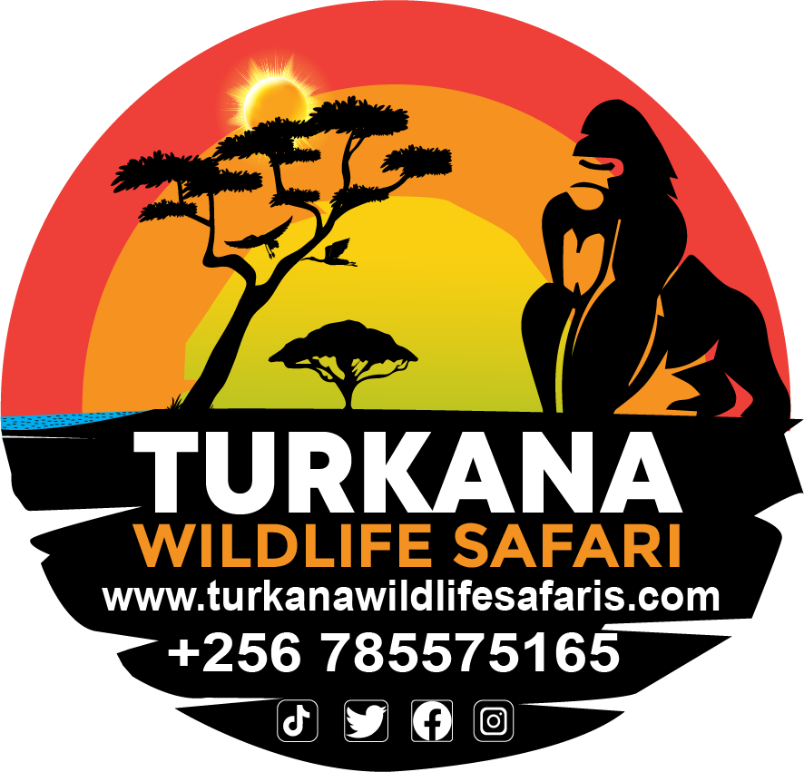 Turkana Wildlife Safaris