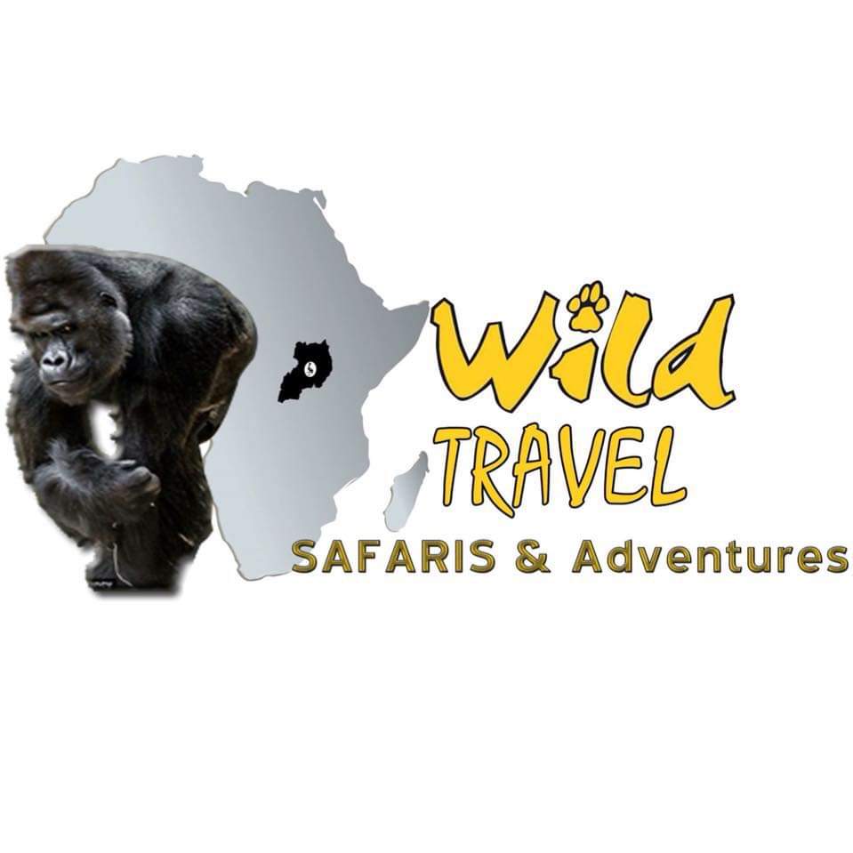 Wild Travel Safaris and Adventures 