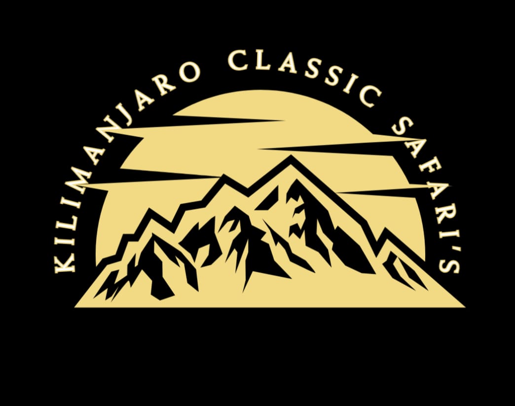 kilimanjaro classic safaris