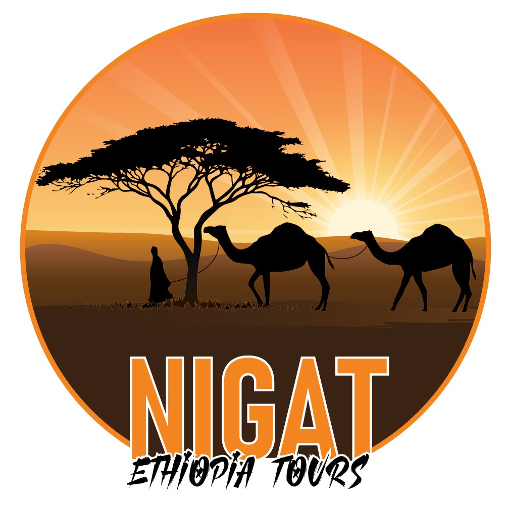 nigatethiopiatours