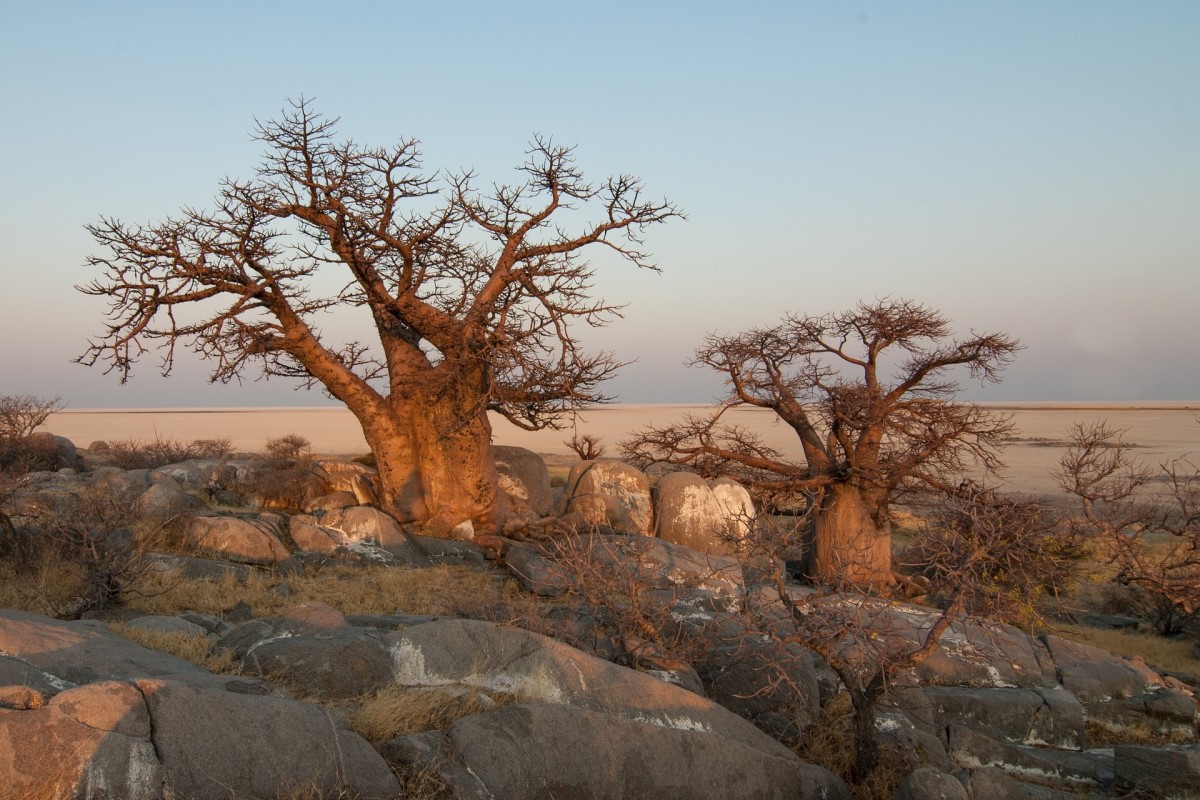 17 Days Trail Safari in Namibia, Botswana and Vic Falls (Lodging & Camping)