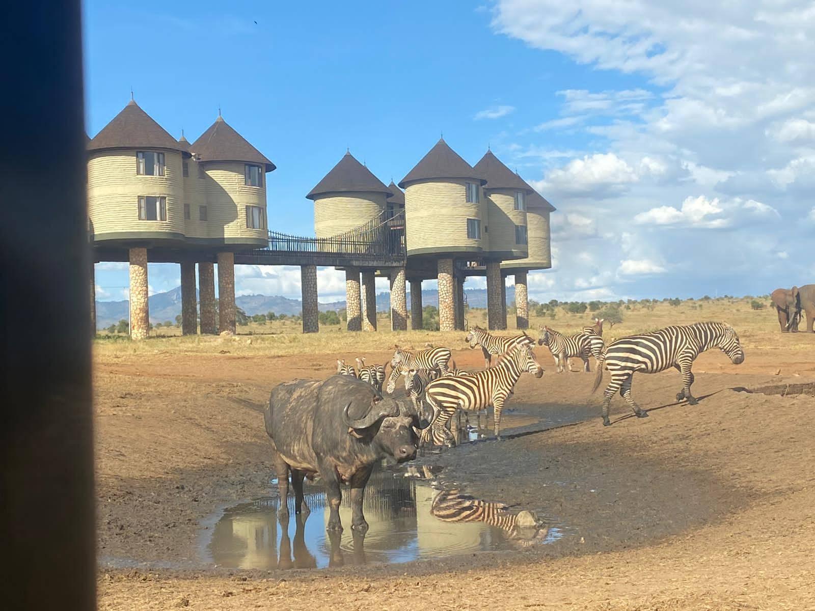 Kenia Reisen Safaris gallery