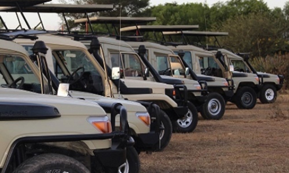 Fahari Safari