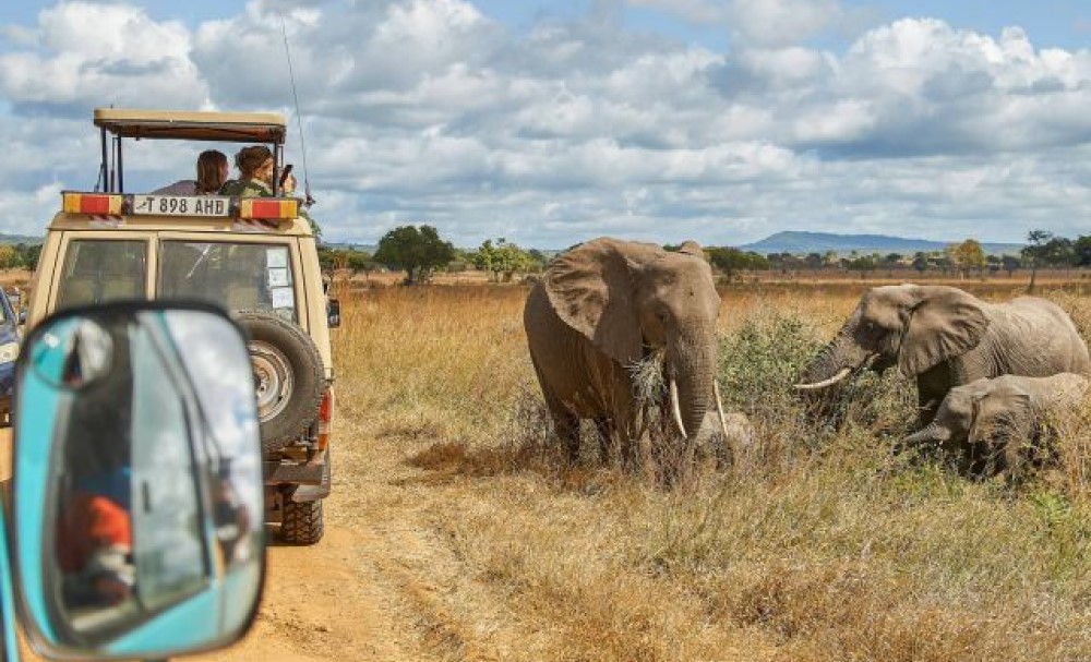 Uhakika Safaris  gallery